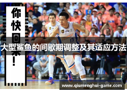 大型鲨鱼的间歇期调整及其适应方法