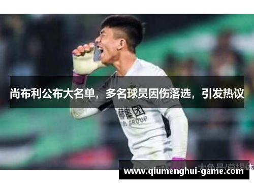 尚布利公布大名单，多名球员因伤落选，引发热议