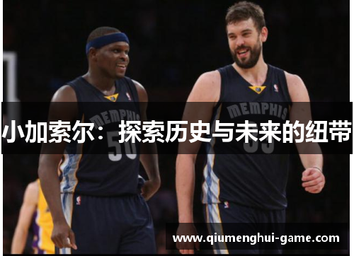 小加索尔：探索历史与未来的纽带